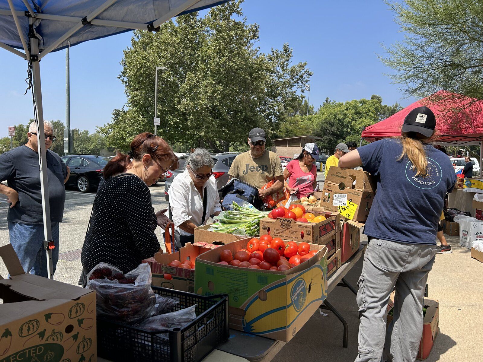 Neighbors choosing fresh tomatoes, onions and greens at an Ignite mobile food pantry
